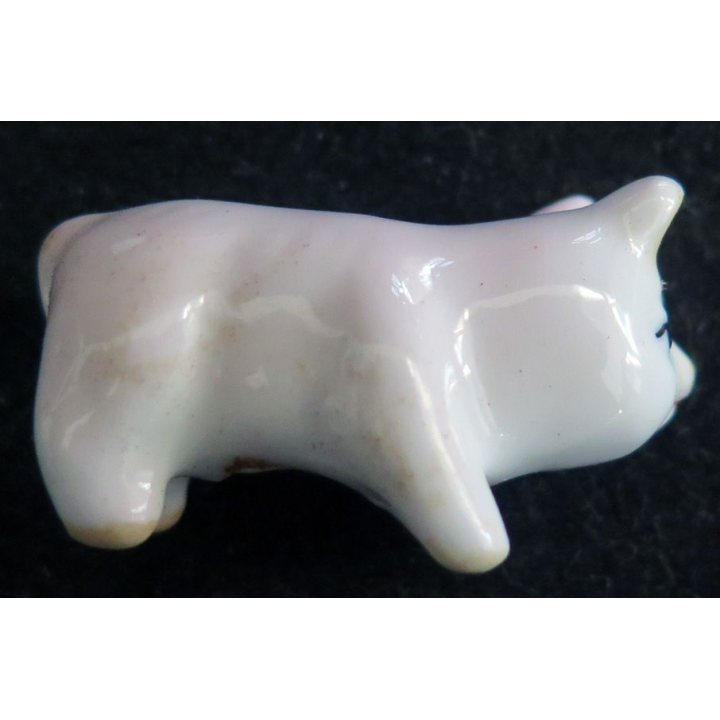 Fève cochon