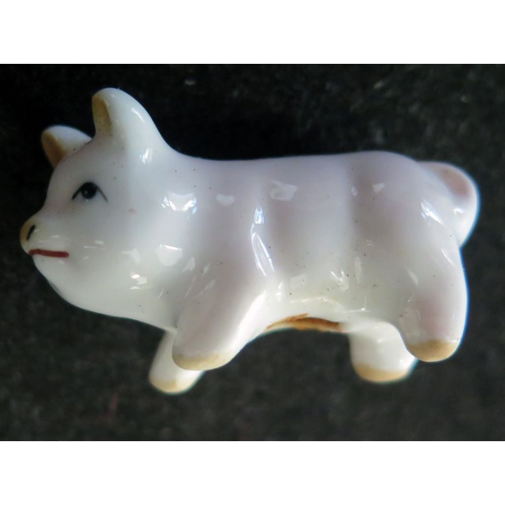 Fève cochon