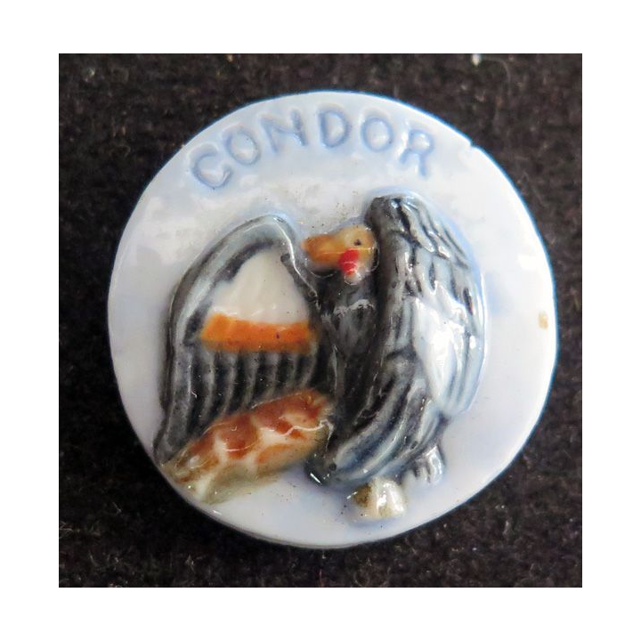 Fève Condor