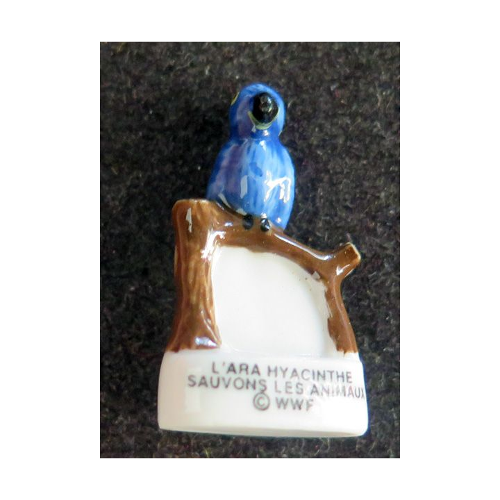 Fève Lara hyacinthe Sauvons les animaux