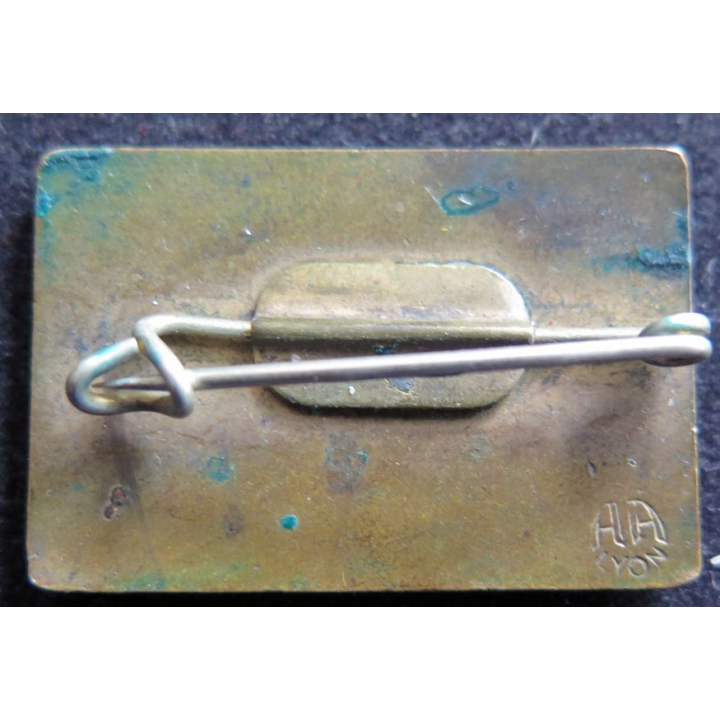Insigne du Téléphérique du Sancy du Mont Dore FIA 