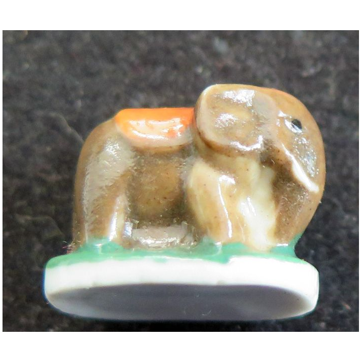 Fève éléphant
