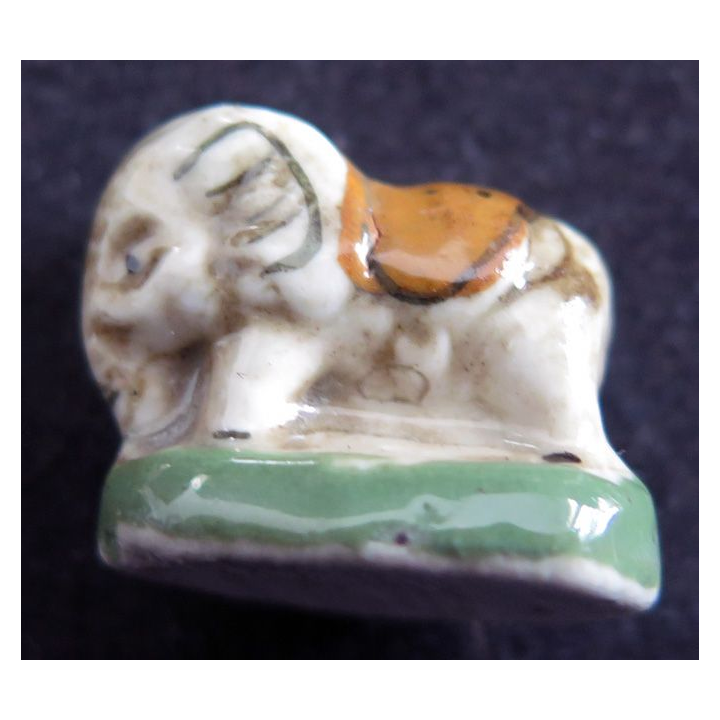 Fève éléphant