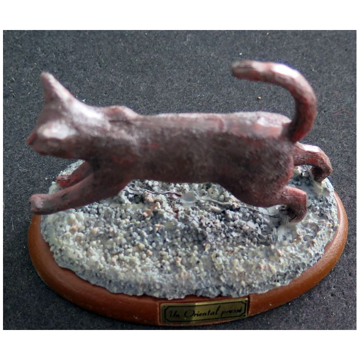 Figurine de Chat en résine : Un Oriental pressé