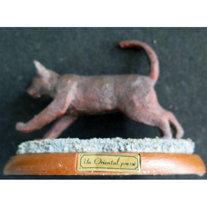Figurine de Chat en résine : Un Oriental pressé