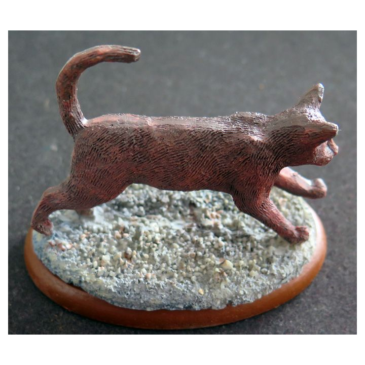 Figurine de Chat en résine : Un Oriental pressé