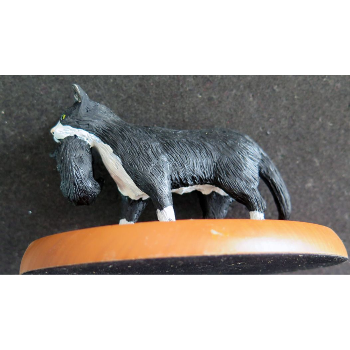 Figurine de Chat en résine : Chatte transportant un chaton