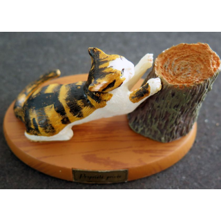 Figurine de Chat en résine : Propriété privée