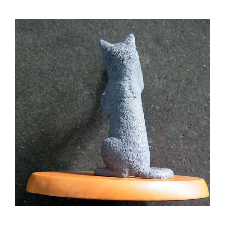 Figurine de Chat en résine : Jeu de plein air
