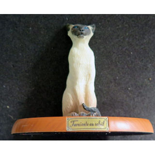 Figurine de Chat en résine : Farniente au soleil