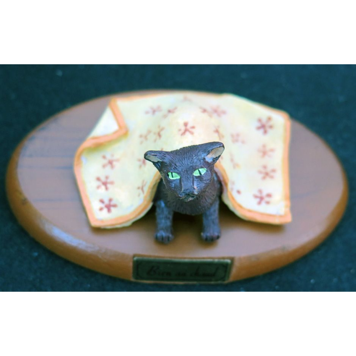 Figurine de Chat en résine : Bien au chaud