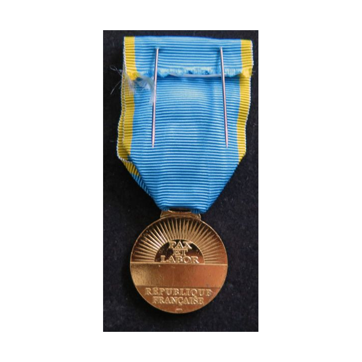 FRANCE : Médaille d'or (officier) jeunesse et sports en bronze doré