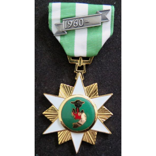 VIETNAM : médaille Chien Dich Moi Tinh  1960