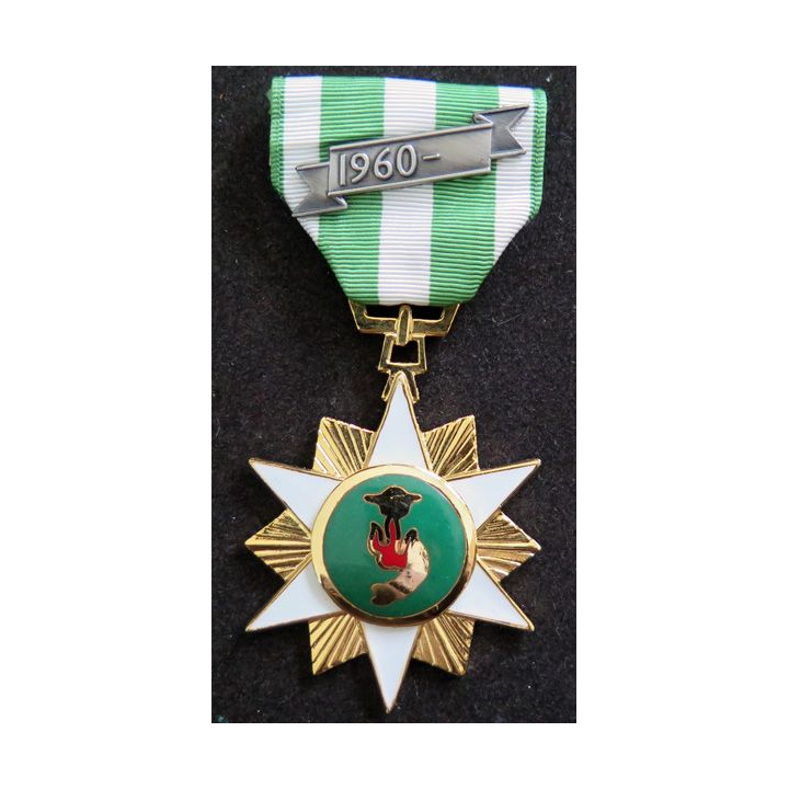VIETNAM : médaille Chien Dich Moi Tinh  1960