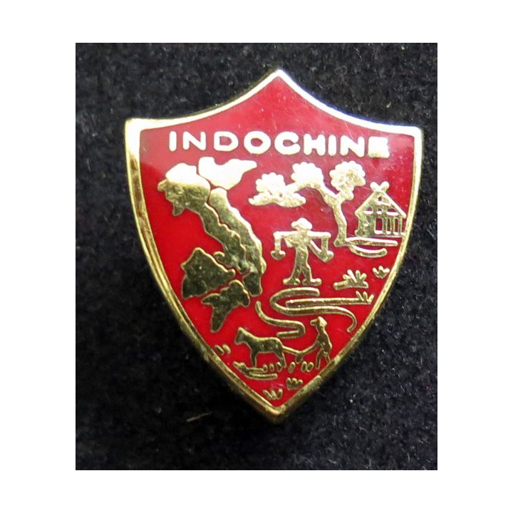 ANAI : insigne de l'association nationale des anciens et amis d'Indochine Drago