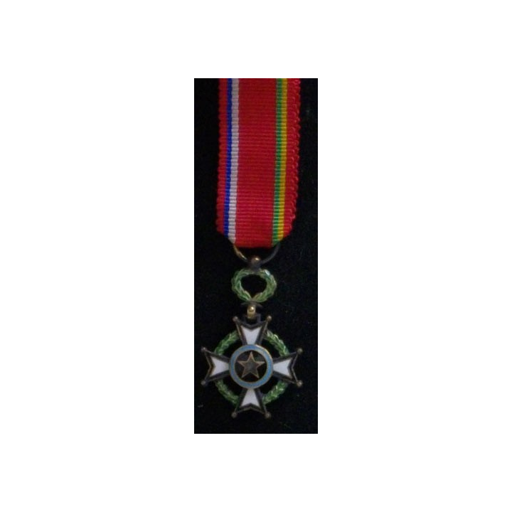 CENTRE AFRIQUE :  ORDRE DU MÉRITE CENTRE AFICAIN RÉDUCTION