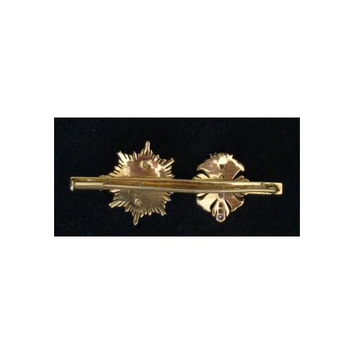ESPAGNE : ORDRE MÉRITE CIVIL (DIAMANTS) ET DU MÉRITE AGRICOLE