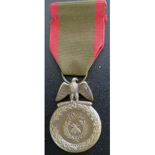 FRANCE : médaille du Bicentenaire de la campagne de France 1814-2014