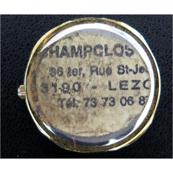 MONTRE : montre Picadilly avec ses supports coupés non testée