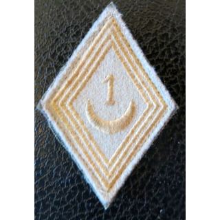 LOSANGE DE BRAS MODÈLE 45 : modèle troupe 1° régiment de tirailleurs actuel