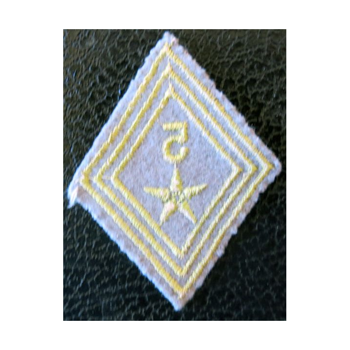 LOSANGE DE BRAS MODÈLE 45 : modèle troupe 5° régiment de tirailleurs variante