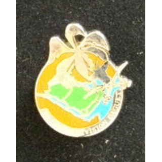 PINS GENDARMERIE PREVOTE DAGUET
