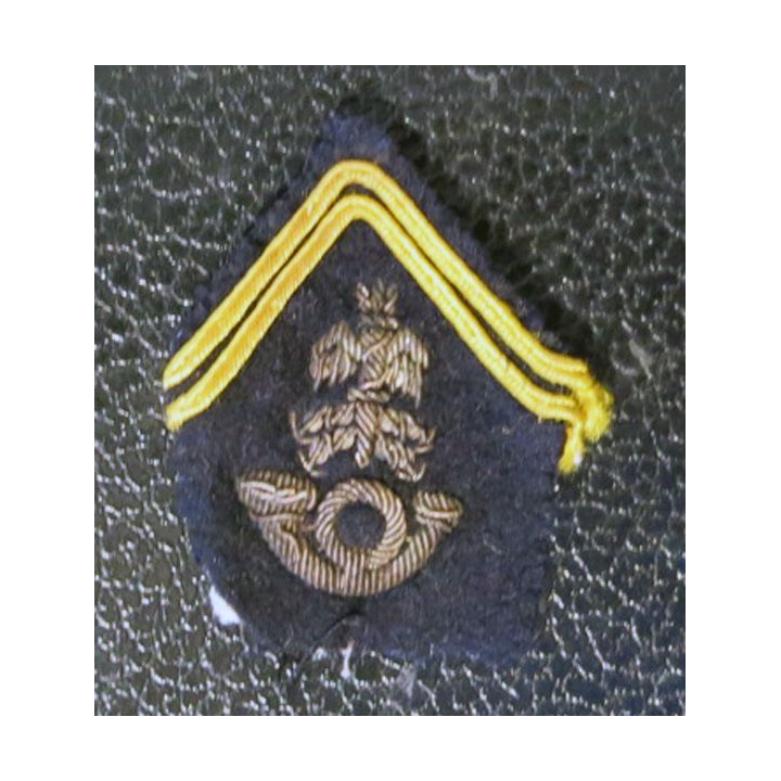 PATTE DE COL : modèle Officier breveté d'état-major Chasseurs en canetille