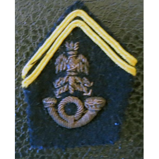 PATTE DE COL : modèle Officier breveté d'état-major Chasseurs en canetille