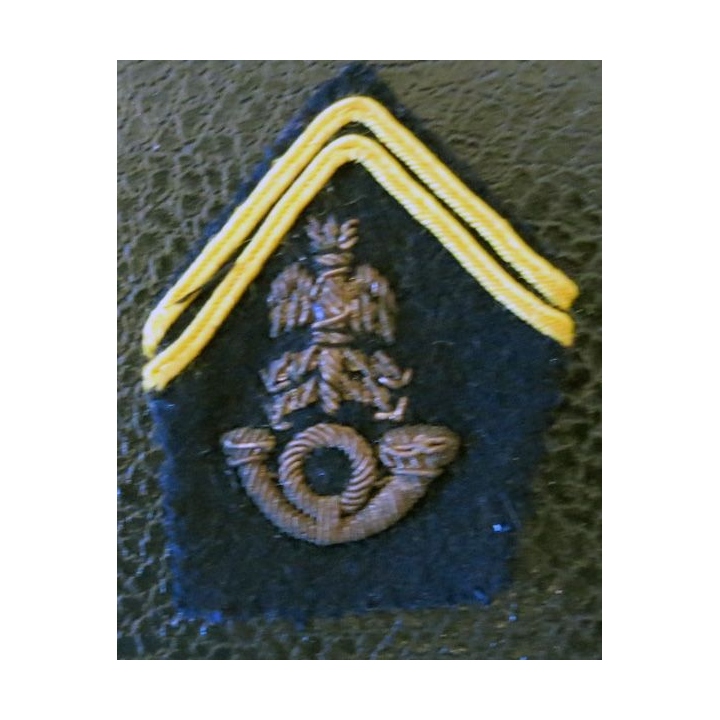 PATTE DE COL : modèle Officier breveté d'état-major Chasseurs en canetille