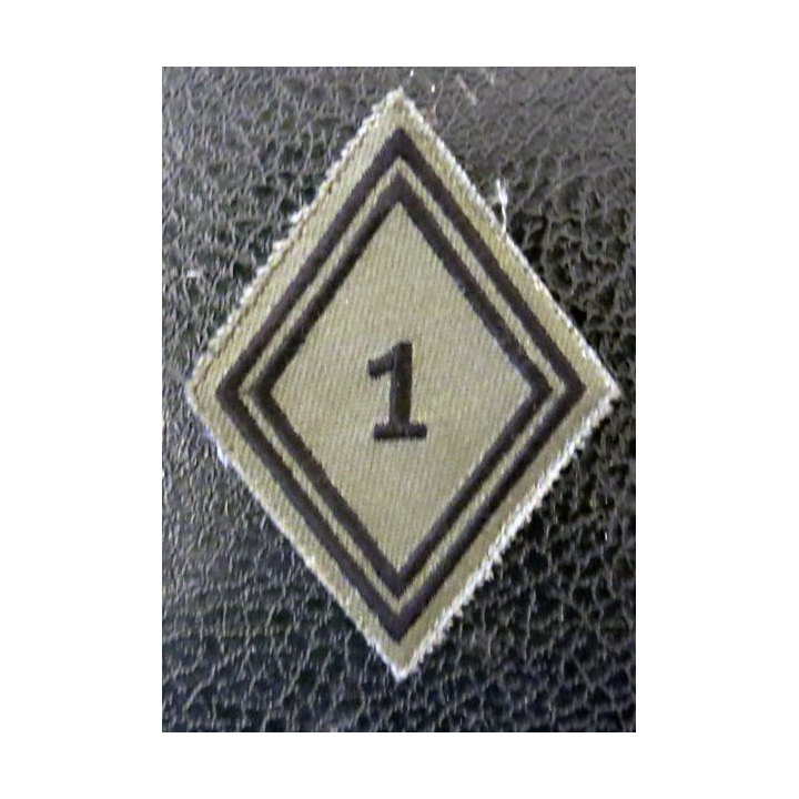 LOSANGE DE BRAS MODÈLE 45 :  Ecusson basse visibilité 1° régiment de hussards parachutistes RHP