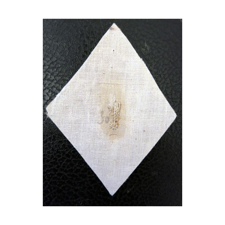 LOSANGE DE BRAS MODÈLE 45 : modèle officier Ecole Militaire du Corps technique et administratif sur toile écru en canetille