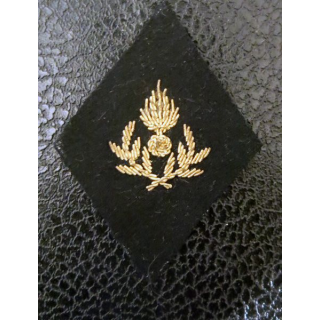 LOSANGE DE BRAS MODÈLE 45 :  officier d'administration avant 1978 fil canetille or