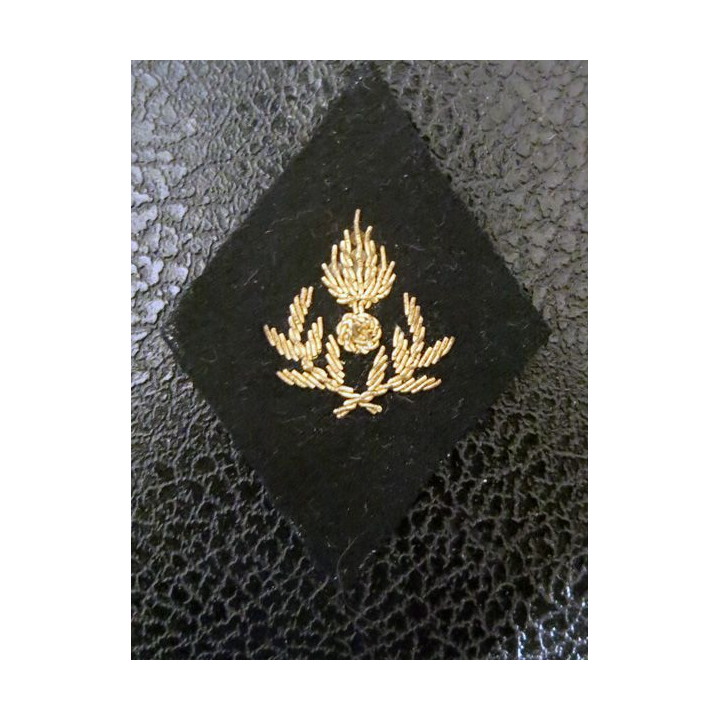 LOSANGE DE BRAS MODÈLE 45 :  officier d'administration avant 1978 fil canetille or