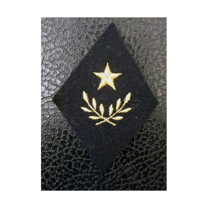 LOSANGE DE BRAS MODÈLE 45 :  adjoint administratif de corps de troupe
