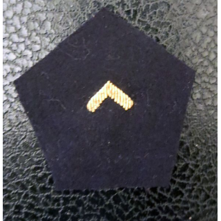 LOSANGE DE BRAS MODÈLE 45 : Personnel féminin de l'armée de terre (PFAT) 5° catégorie canetille or
