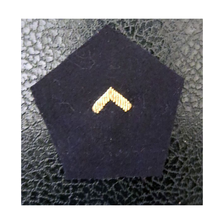 LOSANGE DE BRAS MODÈLE 45 : Personnel féminin de l'armée de terre (PFAT) 5° catégorie canetille or