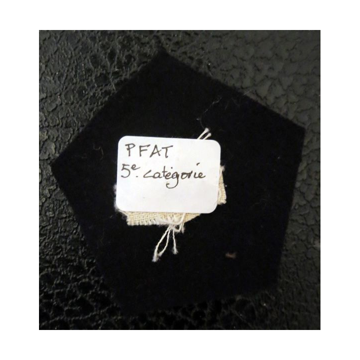 LOSANGE DE BRAS MODÈLE 45 : Personnel féminin de l'armée de terre (PFAT) 5° catégorie canetille or
