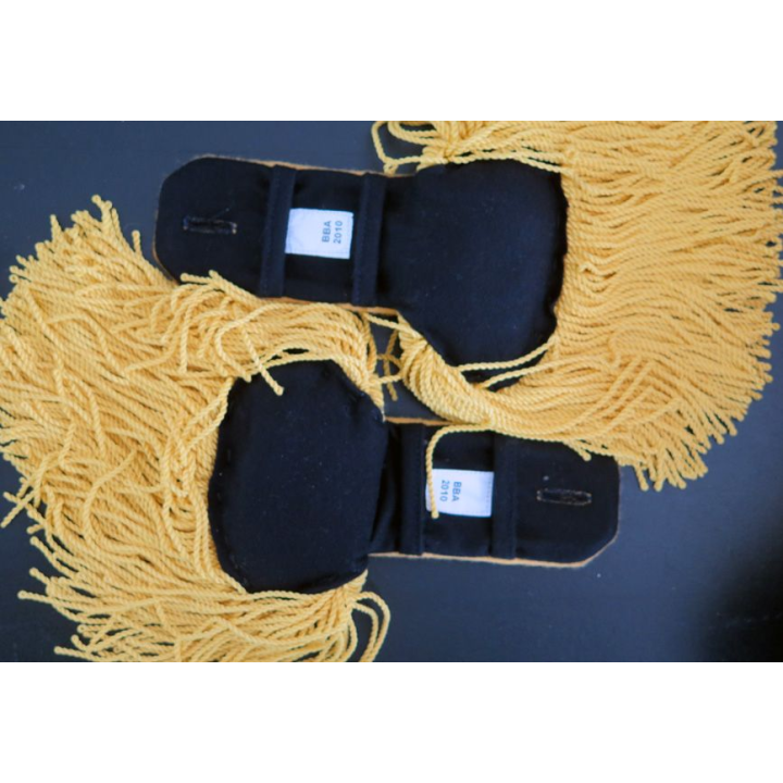Paire d'épaulettes de tradition des Troupes de marine en fil jaune