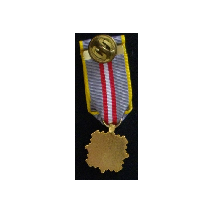 USA : ORDER OF THE STARS AND BARS (RÉDUCTION)