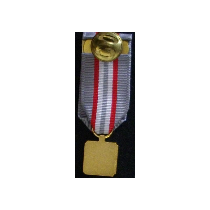 USA : SONS OF CONFEDERATE VETERANS MEDAL  (RÉDUCTION)
