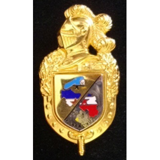 GENDARMERIE : Insigne de la gendarmerie Forpronu avec l'écu doré à gauche et argenté à droite (plateau argenté ou doré au choix)