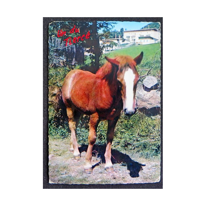 Carte Postale Un du Tiercé