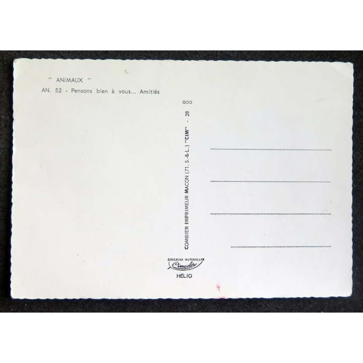 Carte Postale Vacances merveilleuses pensons bien à vous