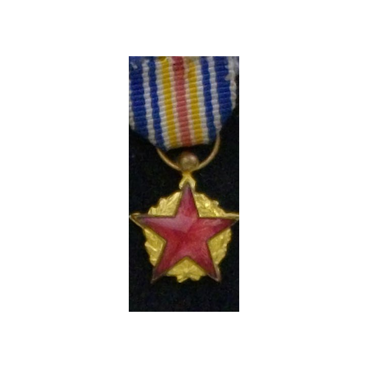 FRANCE : MÉDAILLE DES BLESSÉS EN RÉDUCTION