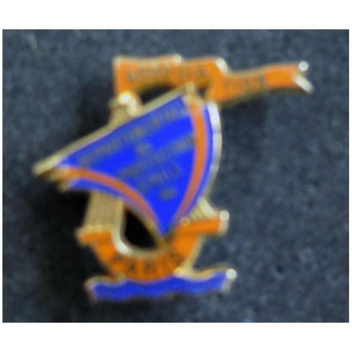 Pin's de l'association départementale de la protection civile de Paris