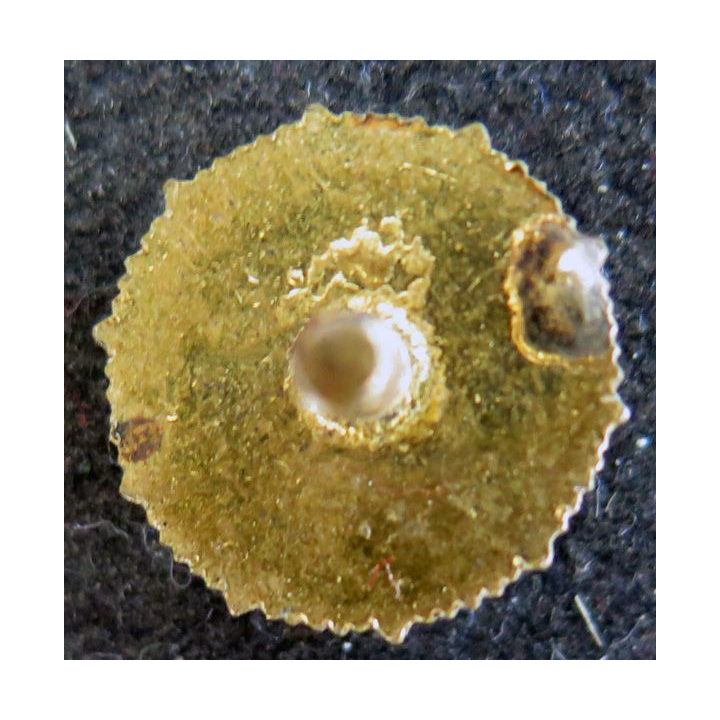 UNC : boutonnière métal émaillée de l'union nationale des combattants 1,5 cm sans vis