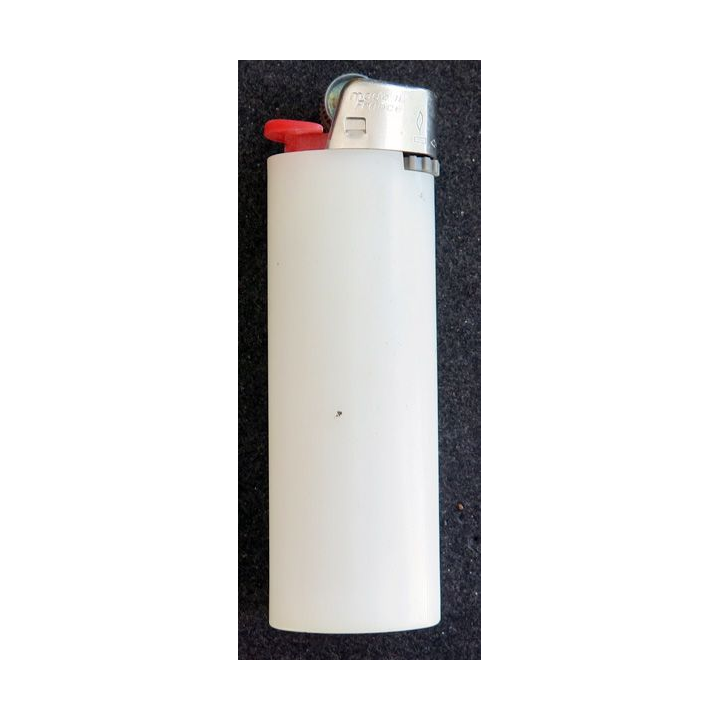 BRIQUET : La Cathédrale d'Albi  (USAGÉ)