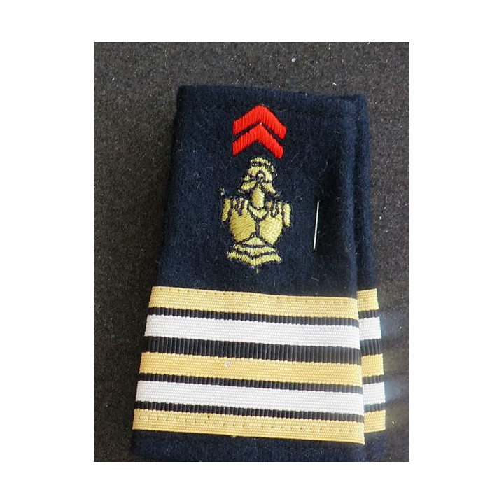 paire de Fourreau de Lieutenant-colonel du génie