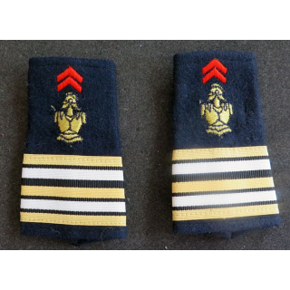 paire de Fourreau de Lieutenant-colonel du génie