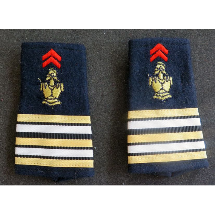 paire de Fourreau de Lieutenant-colonel du génie
